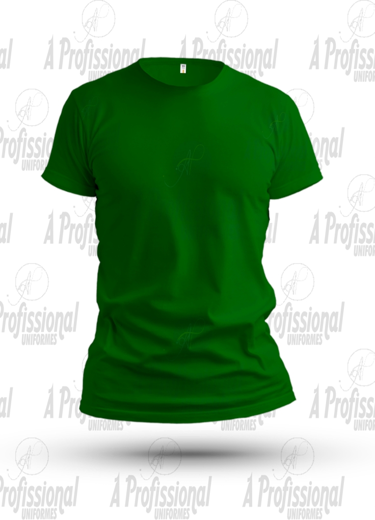 CAMISETA-MC-VERDE-BANDEIRA-LOJA